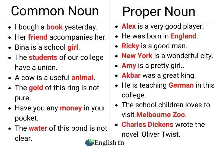 What Is Common Noun With Examples Englishfn